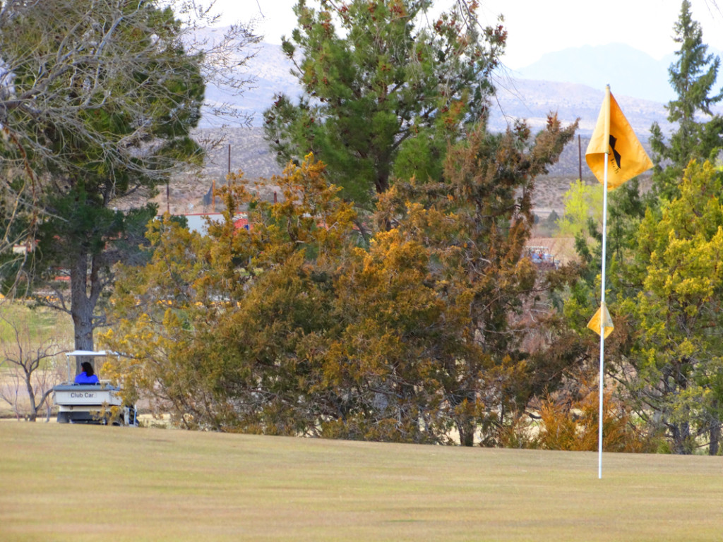 NM Tech Golf-Golf Cart1