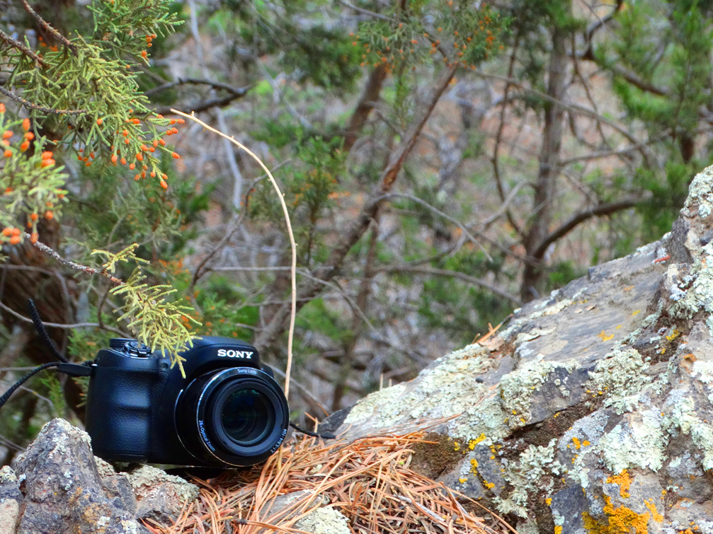 Camera at Water Canyon